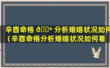 辛酉命格 🌺 分析婚姻状况如何（辛酉命格分析婚姻状况如何看 🐛 ）